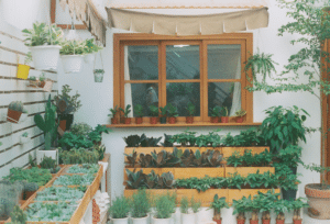 garden window replacement kitchen herbs natural light