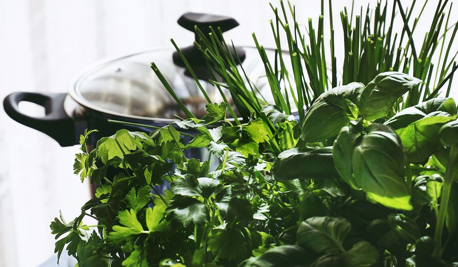 garden windows for sale kitchen herbs natural light